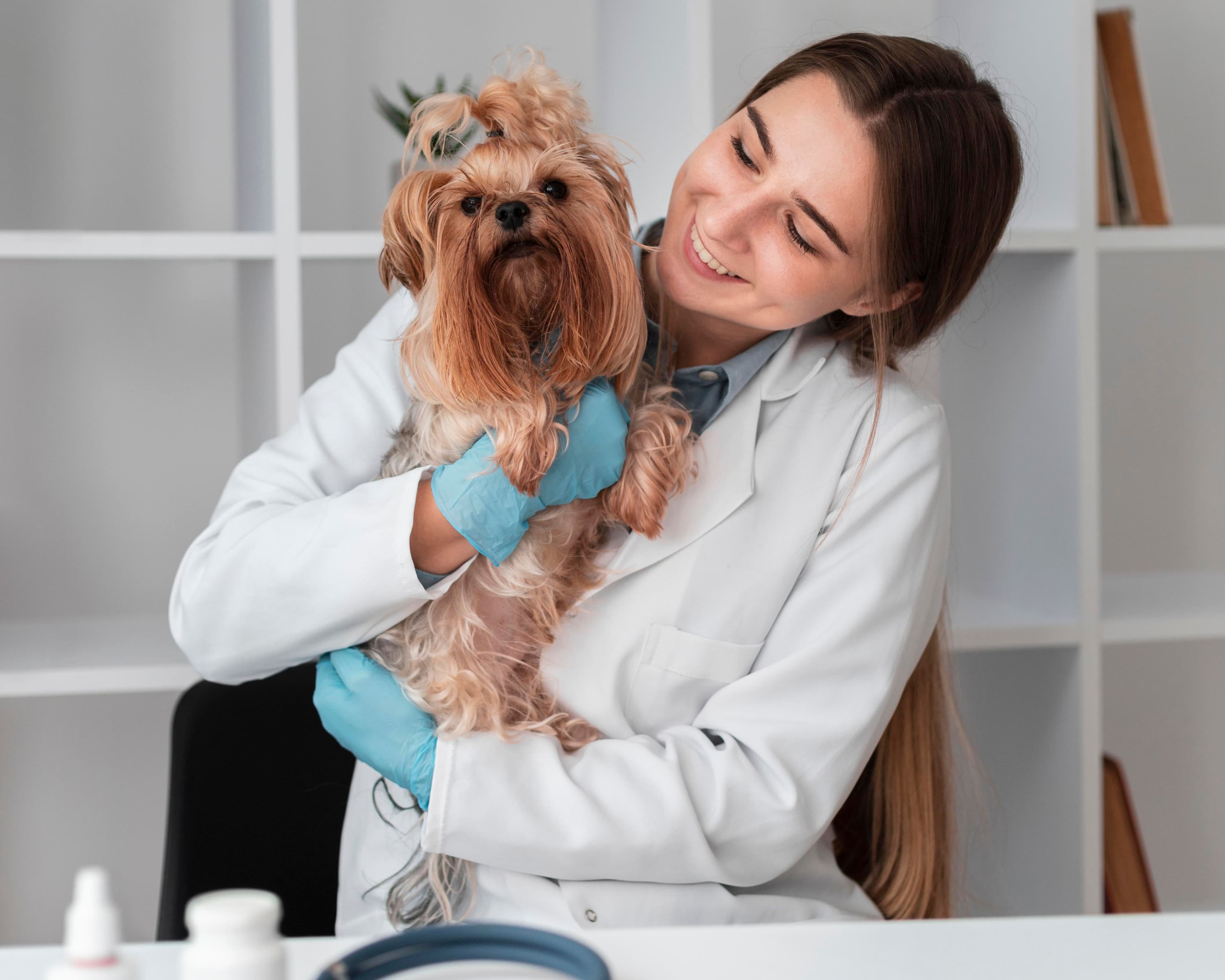 Veterinarian holding a small dog